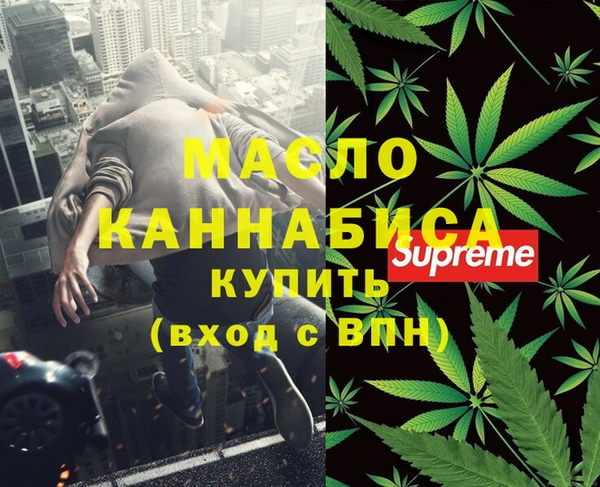 дмт Инта